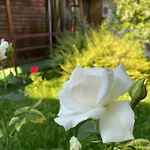 La Famiglia * Eforie Nord