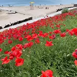 La Famiglia * Eforie Nord