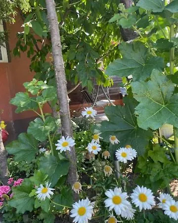 La Famiglia Homestay szállás Észak-Eforie
