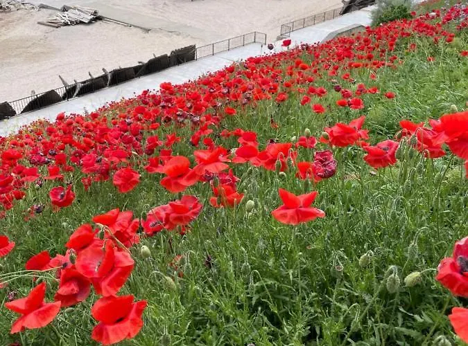 La Famiglia * Eforie Nord