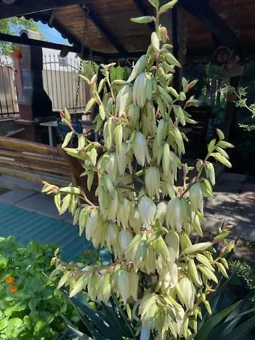 La Famiglia Accommodatie bij particulieren *